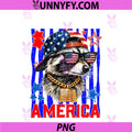 USA America Raccoon Hot Dog PNG, 1776-2026 4th Of July 250 Years PNG
