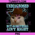 Undiagnosed But Something Ain't Right PNG, Funny Silly Cat Meme PNG