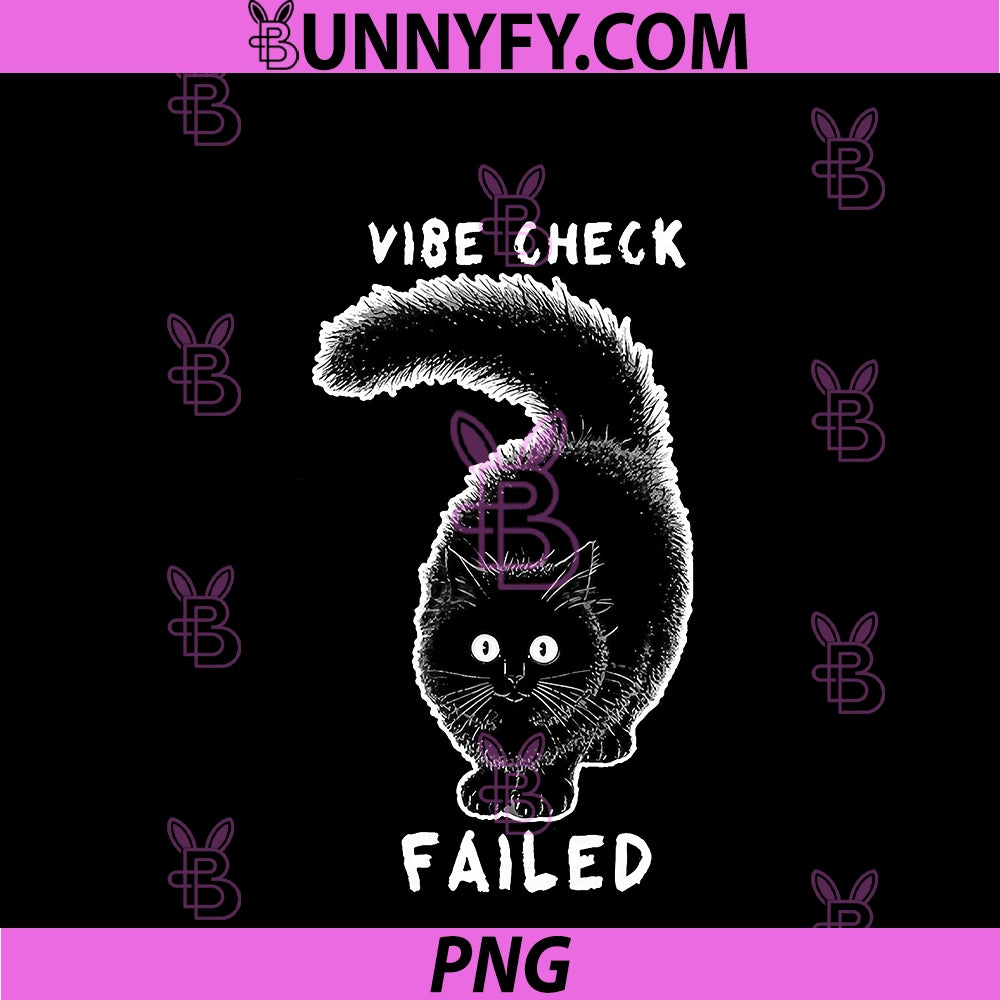 Vibe Check Failed PNG, Funny Cat Internet Meme Slang PNG