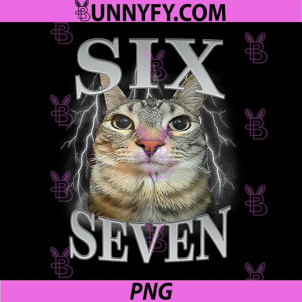 Meme Cat 6 7 Funny PNG, Six Seven Matching PNG