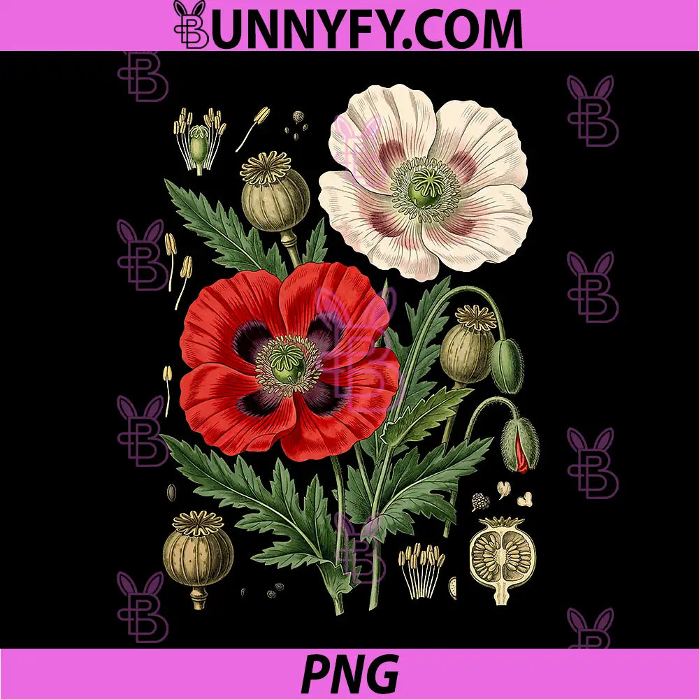 Vintage Red Poppy Flower PNG, Memorial Day PNG