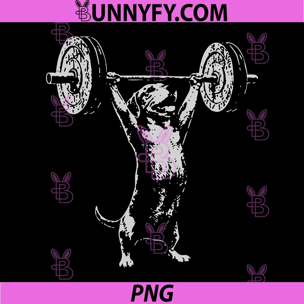 Weight Lifting Gym PNG, Dachshund Dog Deadlift PNG