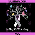 In May We Wear Gray PNG, Brain Tumor Awareness Warrior Cancer PNG