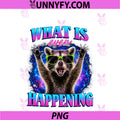 What Is Even Happening PNG, Funny Raccoon Meme PNG
