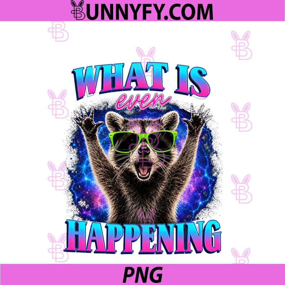 What Is Even Happening PNG, Funny Raccoon Meme PNG