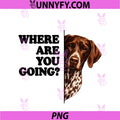 Where Are You Going PNG, German Shorthaired Pointer Followning PNG